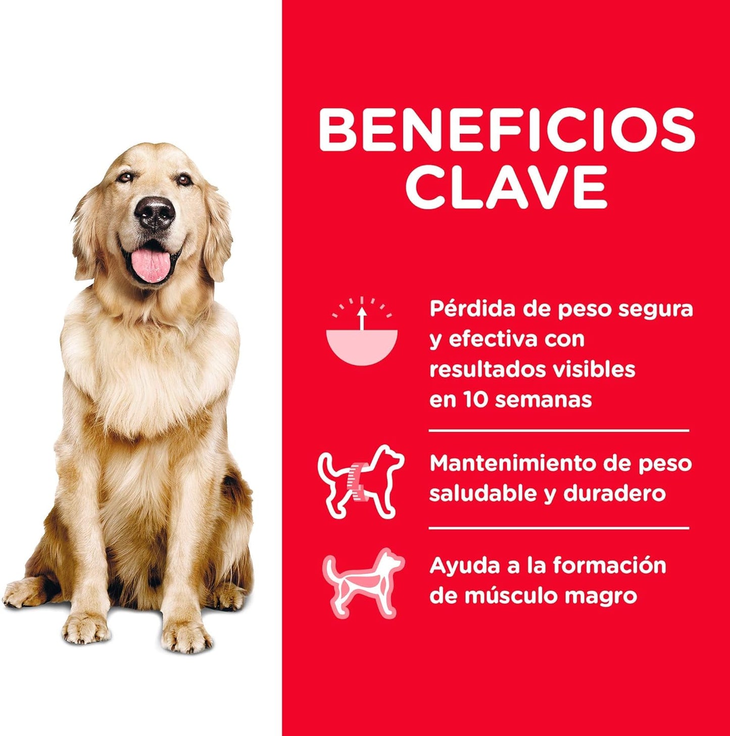 Hill's Science Diet, Perfect Weight (Control de Peso) Alimento para Perros Adultos, Croquetas