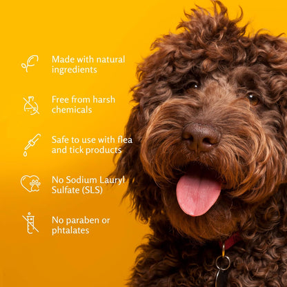 Arm & Hammer, Shampoo para Perro Control de Olores, Aroma Kiwi Blossom