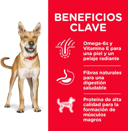 Hill's Science Diet, Alimento para Perro Adulto Receta Original Pollo y Cebada