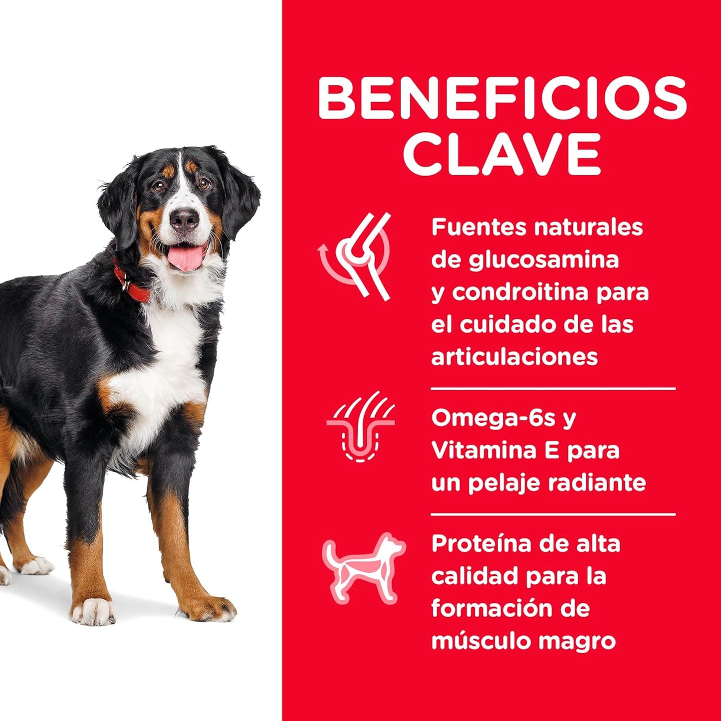 Hill's Science Diet Large Breed, Alimento Seco para Perro Adulto Raza Grande