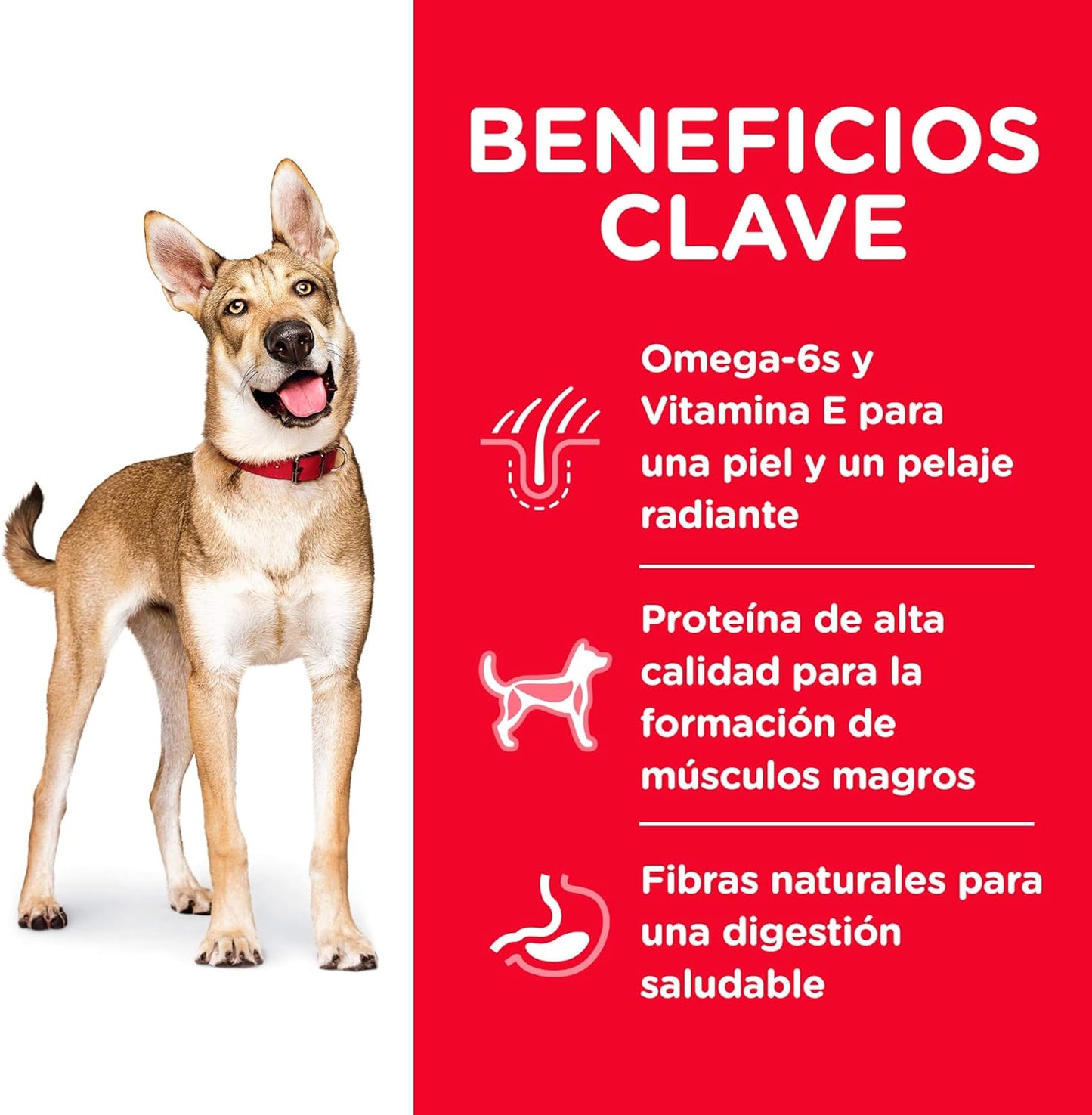 Hill's Science Diet Alimento para Perros Adultos Receta de Cordero y Arroz Integral 15 kg