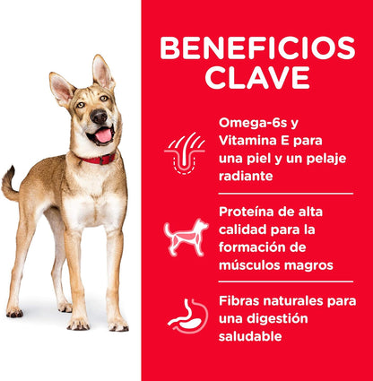 Hill's Science Diet Alimento para Perros Adultos Receta de Cordero y Arroz Integral 15 kg