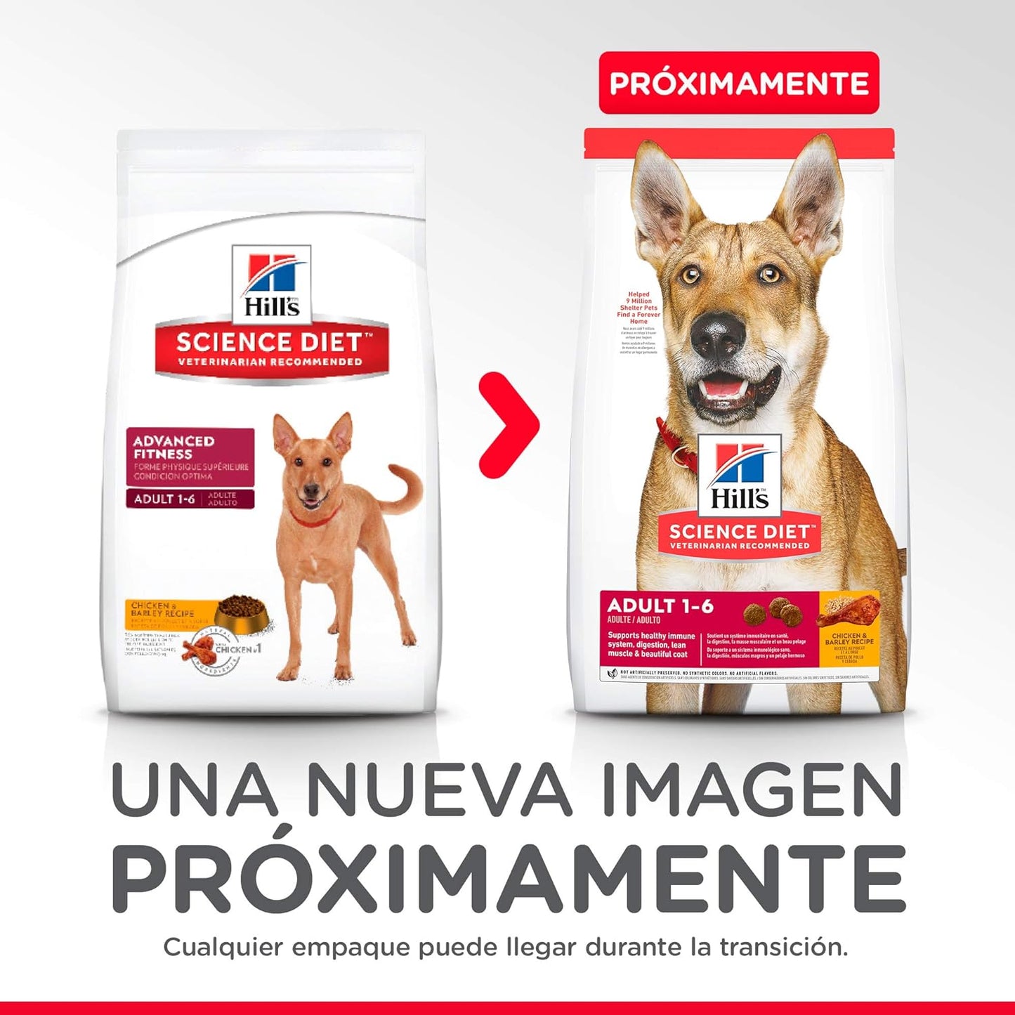 Hill's Science Diet, Alimento para Perro Adulto Receta Original Pollo y Cebada