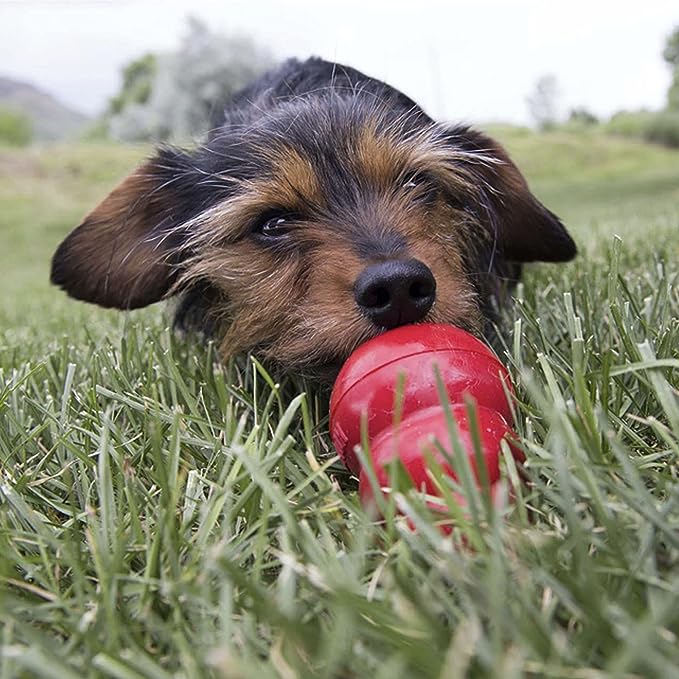 Kong Easy Treat Crema de Hígado Para Perros - Petopia