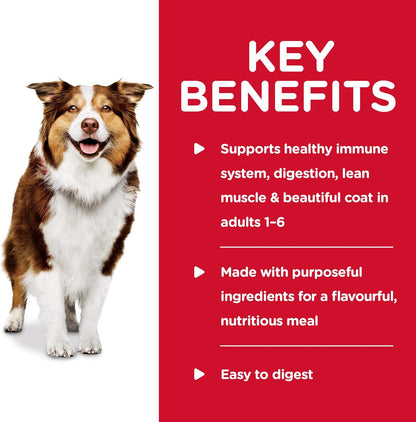 Hill's Science Diet, Alimento para Perro Adulto Healthy Cuisine Estofado, Húmedo (lata 354 gr)