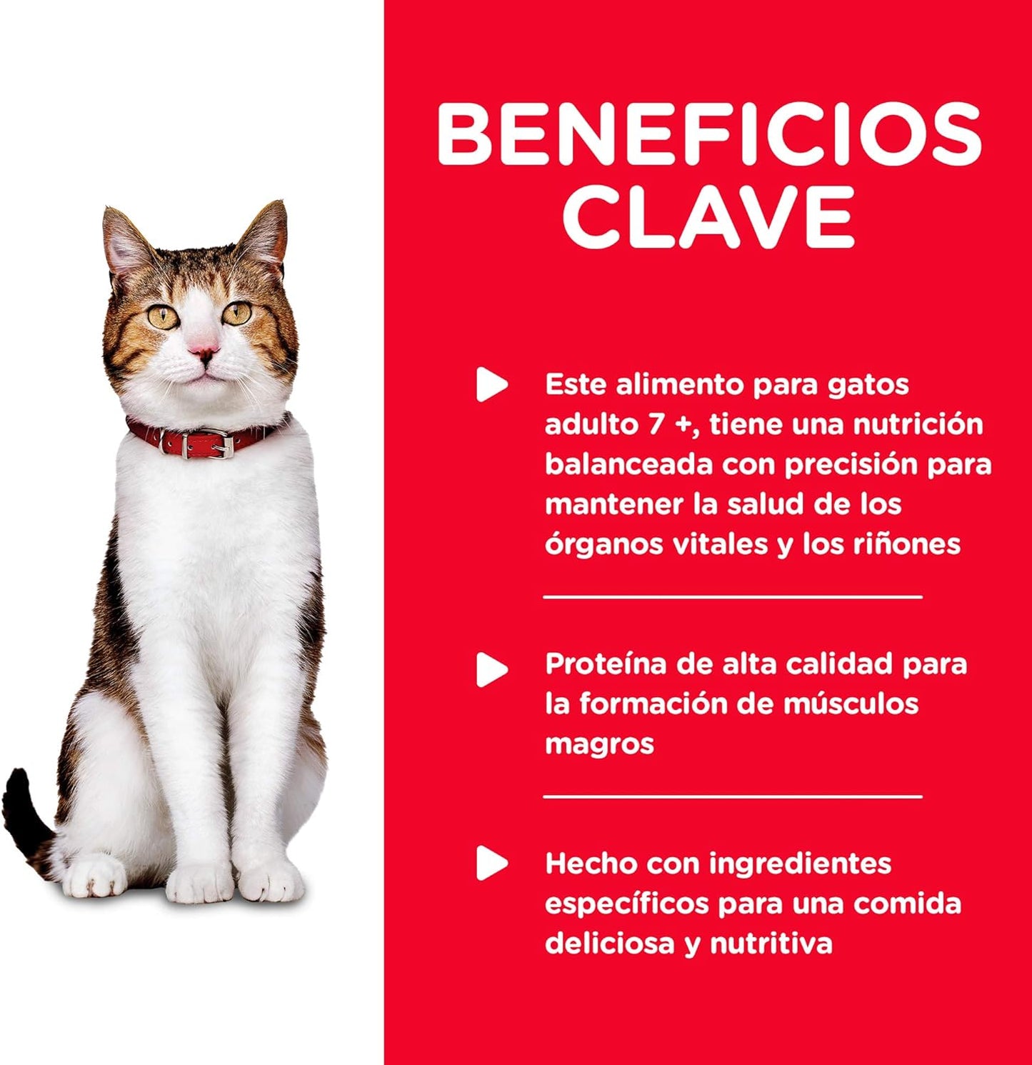 Hill's Science Diet, Alimento para Gato Adulto 7+ Años Receta de Pavo, Húmedo (lata de 156 gramos)