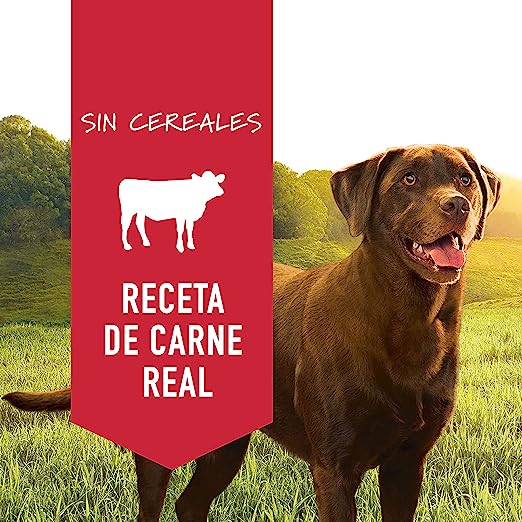 INSTINCT Original Lata Receta de Res de para Perros (lata de 374 g) - Petopia