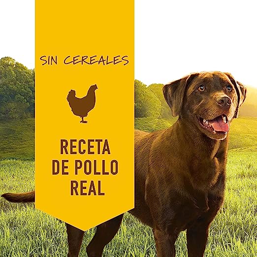 Instinct Original Lata Receta de Pollo para Perros (lata de 374g) - Petopia