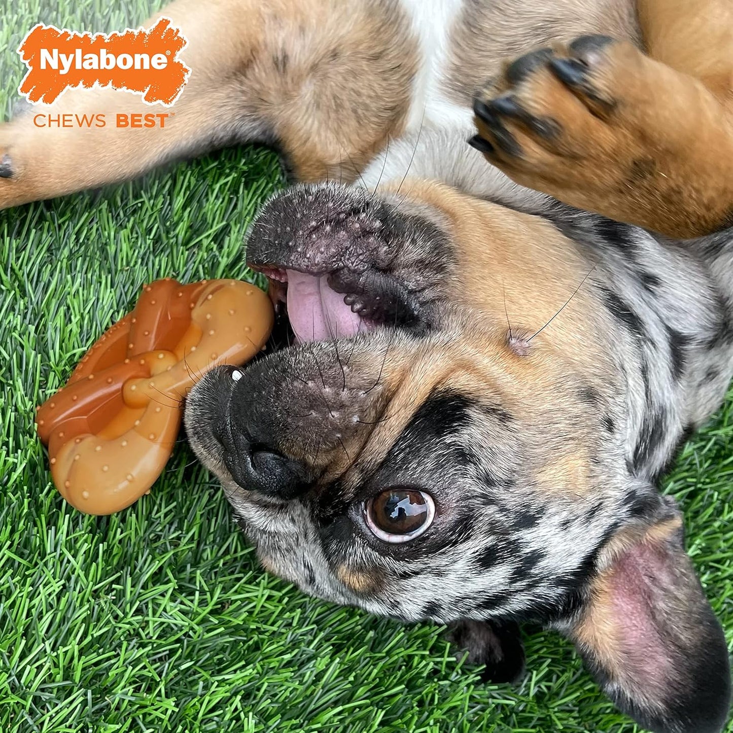 Power Chew Pretzel Juguete para perros