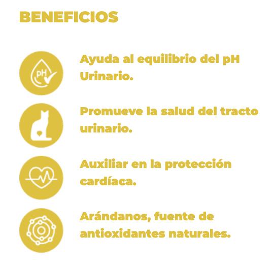 NUPEC WET GATO URIN/HAIRB 4 LATAS 100GR