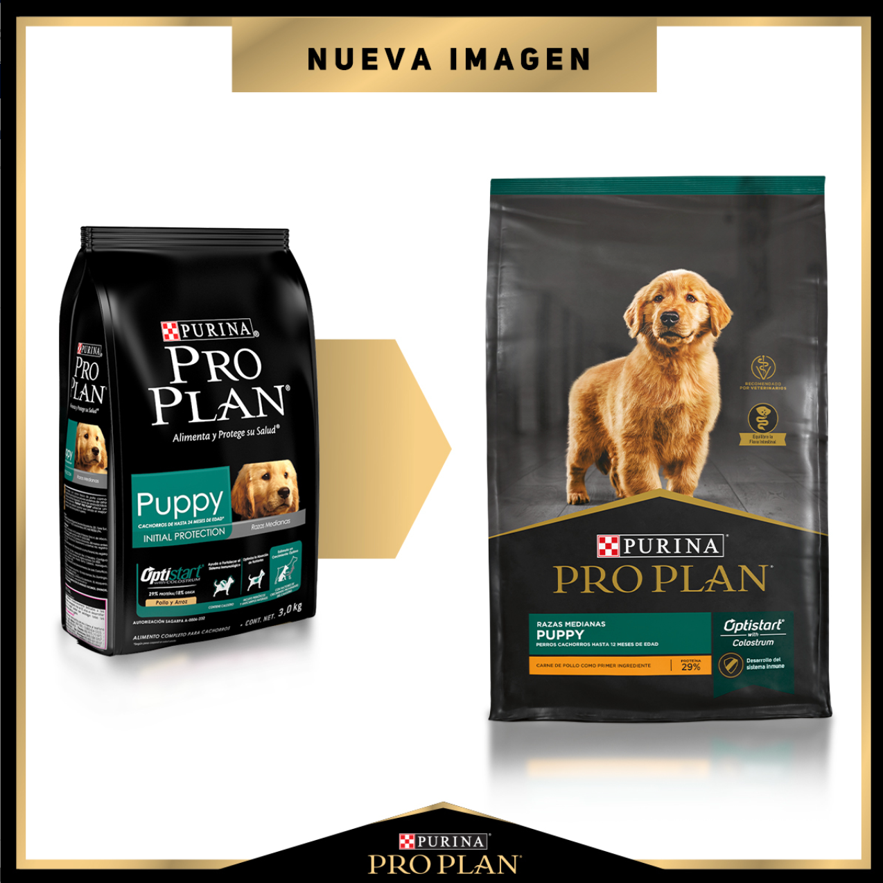 PROPLAN-RAZA MEDIANA OPTISTART 13 kg