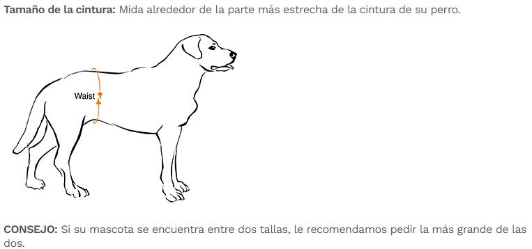 Wee-Wee Pañales con indicador de humedad para perros, talla Mediana