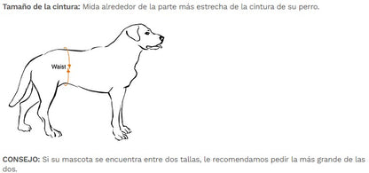 Wee-Wee Pañales con indicador de humedad para perros, talla Mediana