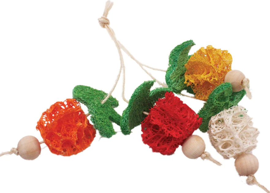 A&E Juguete de Esponja Racimo de frutas para Pequeños Mamíferos