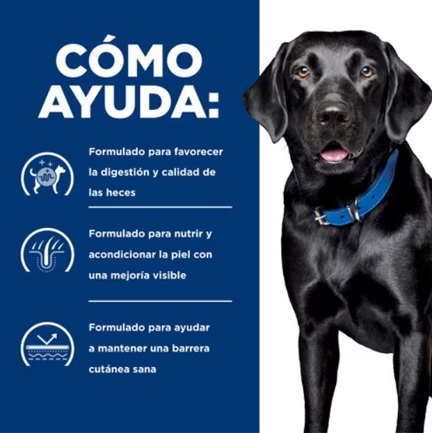 Hill's Prescription Diet d/d Alimento Seco Receta de Papa y Salmón para Perros
