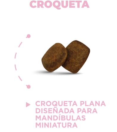 Nupec Alimento Para Perro, Cachorro Razas Mini