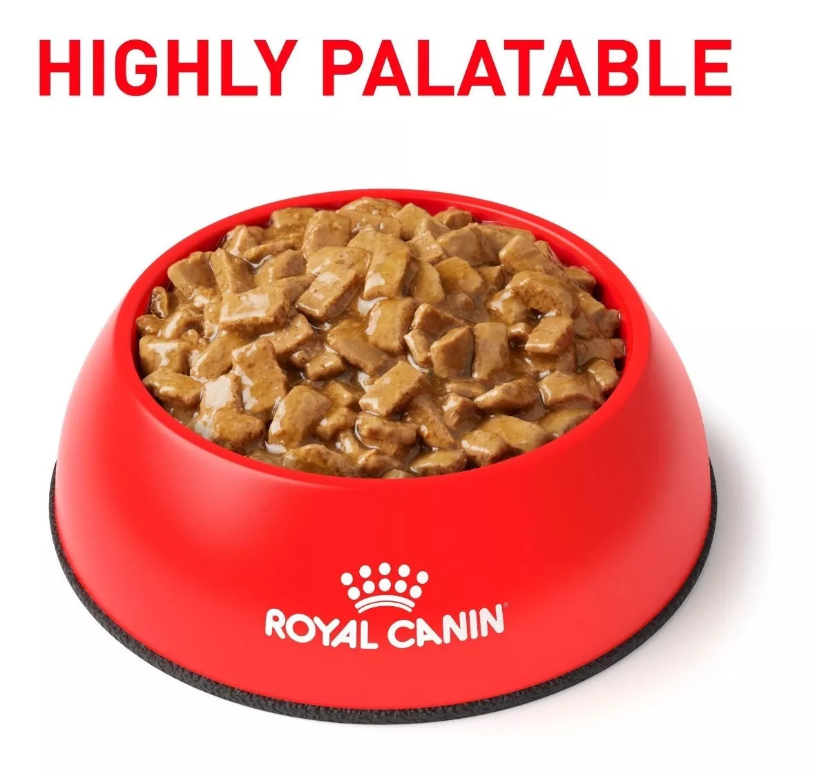 ROYAL CANIN-RENAL SUP D MIG DOG LAT 370GR