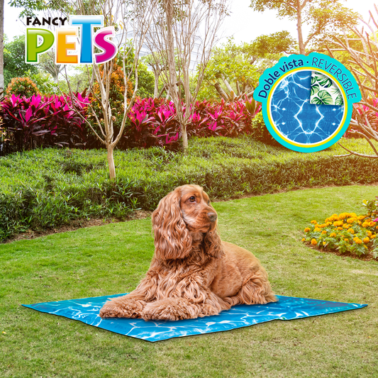 Fancy Pets Tapete Refrescante Cool con Auto Enfriamiento para Perros con Doble Vista - Petopia