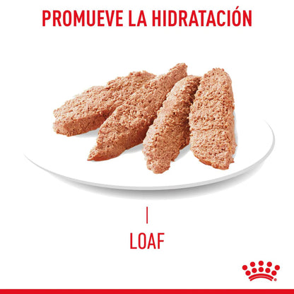 ROYAL CANIN-INTENSE SLICES IN GRAVY 85