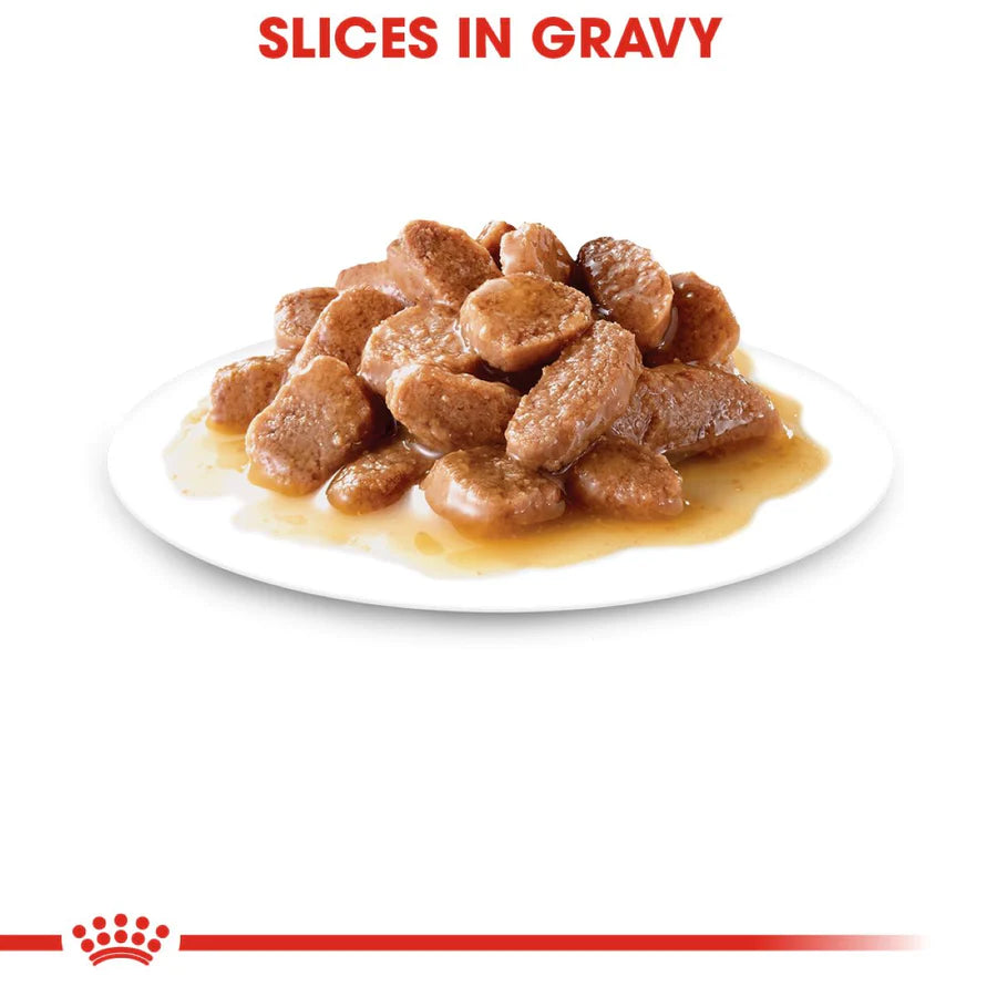 ROYAL CANIN-INTENSE SLICES IN GRAVY 85