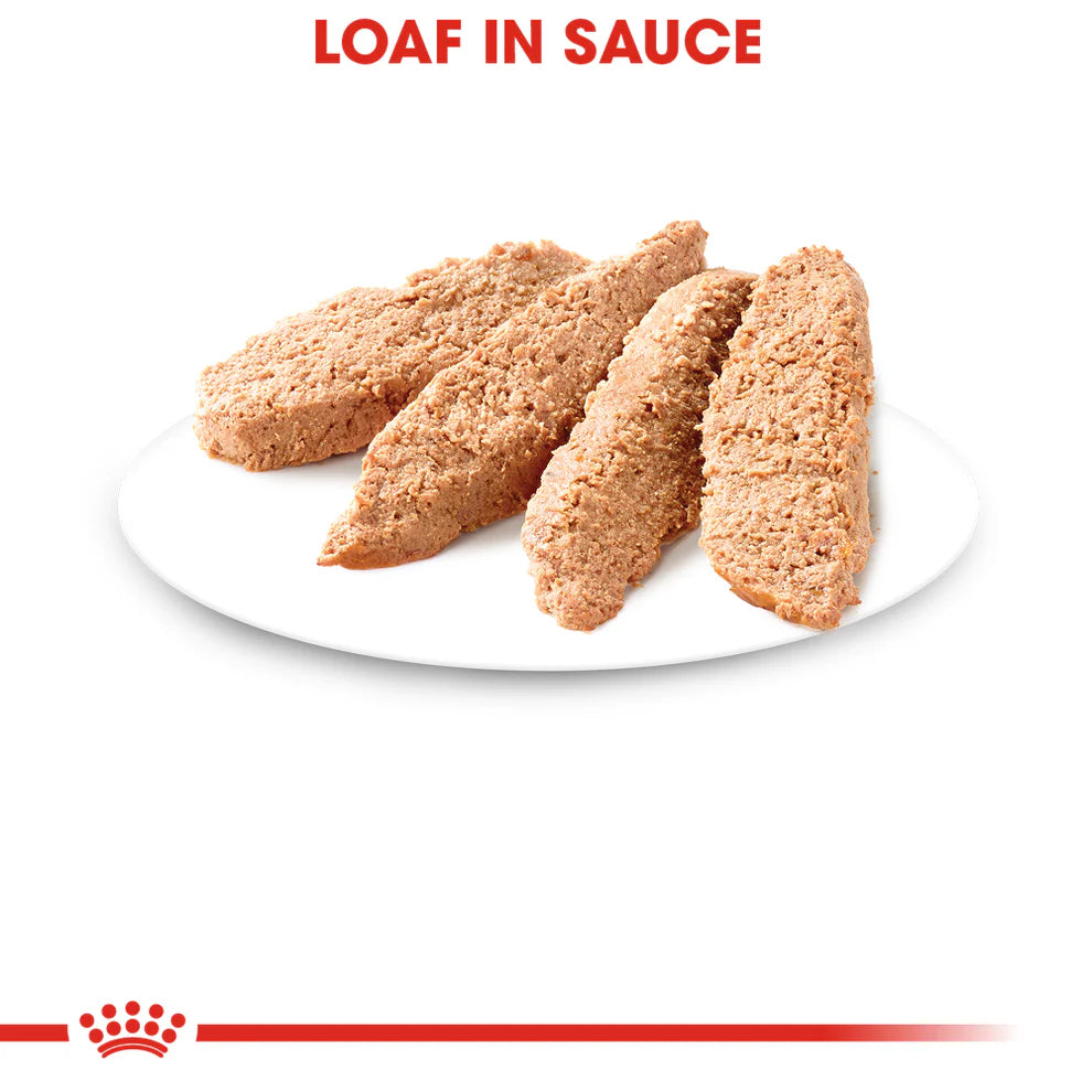 ROYAL CANIN-KITTEN LOAF IN SAUCE 145 GR