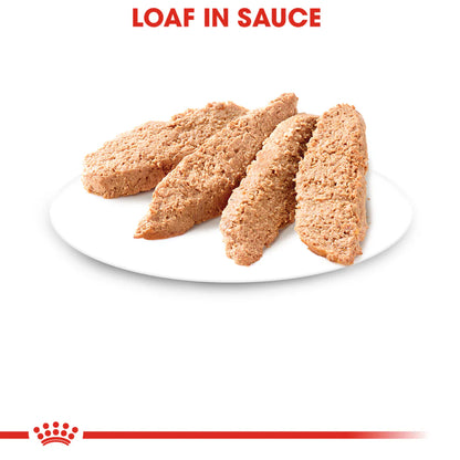 ROYAL CANIN-KITTEN LOAF IN SAUCE 145 GR