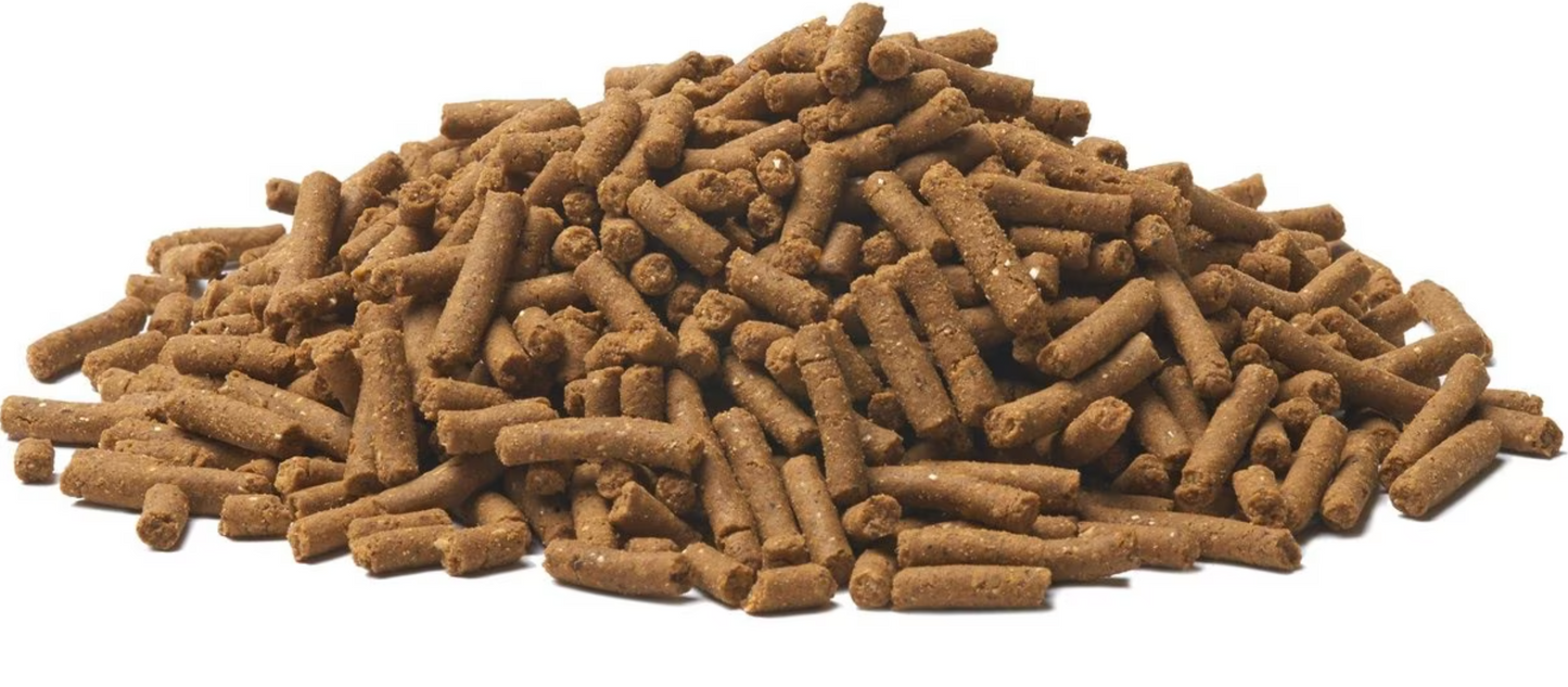 Bil-Jac Perro Adulto Raza Grande