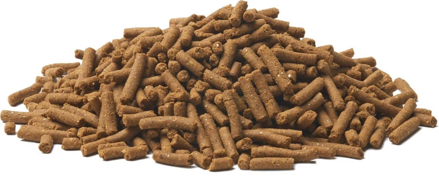 Bil-Jac Perro Senior Raza Pequeña