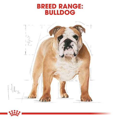 ROYAL CANIN-BULLDOG 13.6 KG