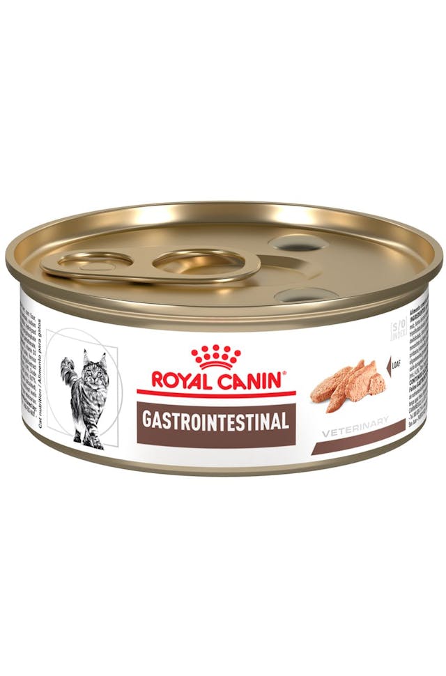 ROYAL CANIN-INTEST HI EN GATO LATA 145GR
