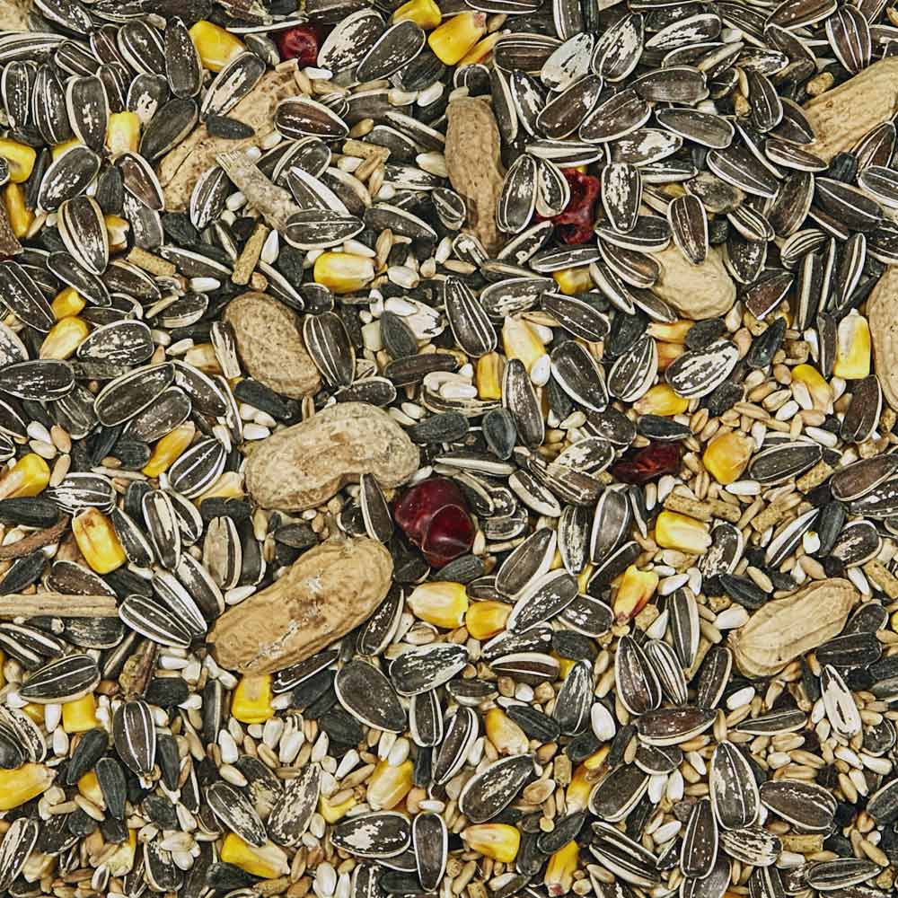 Alimento Supremo para Loros Kaytee 2.27 Kg (5 LB)