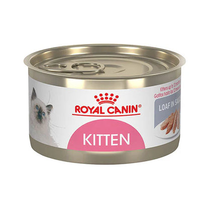 ROYAL CANIN-KITTEN LOAF IN SAUCE 145 GR