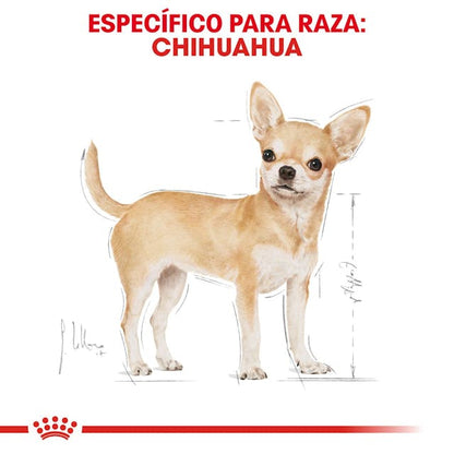 ROYAL CANIN-CHIHUAHUA ADULT 1.1