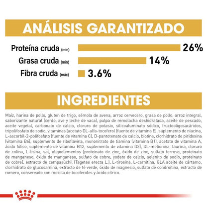 ROYAL CANIN-RAZA ESPECIFICA CHIHUAHUA 4.5 KG
