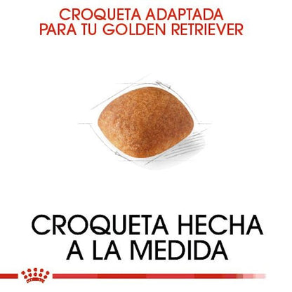 ROYAL CANIN-GOLDEN ADULTO 13 KG