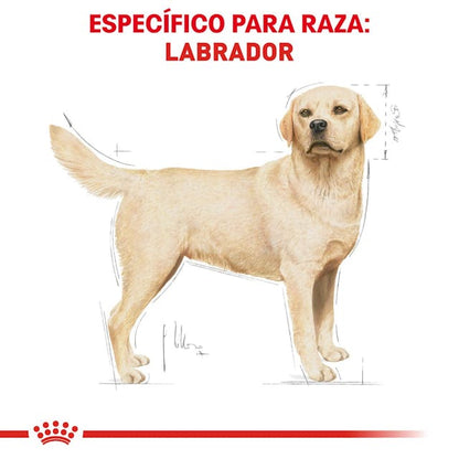 ROYAL CANIN-LABRADOR RETRIEVER 13.6 KG