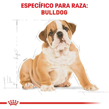 ROYAL CANIN-BULLDOG PUPPY 13.6 KG