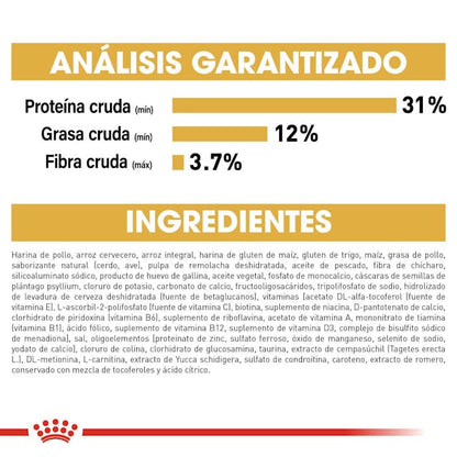 ROYAL CANIN-LABRADOR PUPPY 13.6