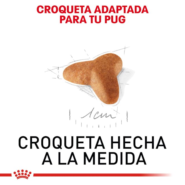 ROYAL CANIN-PUG PUPPY 1.1
