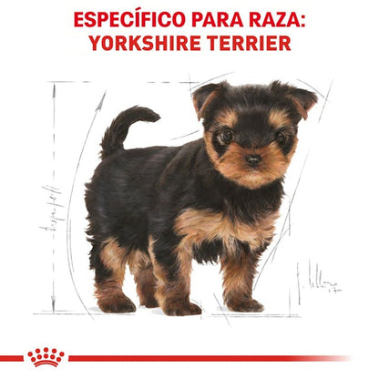 ROYAL CANIN-YORKSHIRE PUPPY 1.1