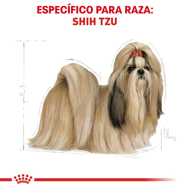 ROYAL CANIN-RAZA ESPECIFICA SHIH TZU 4.5 KG