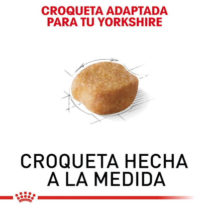 ROYAL CANIN-YORKSHIRE ADULT 1.1
