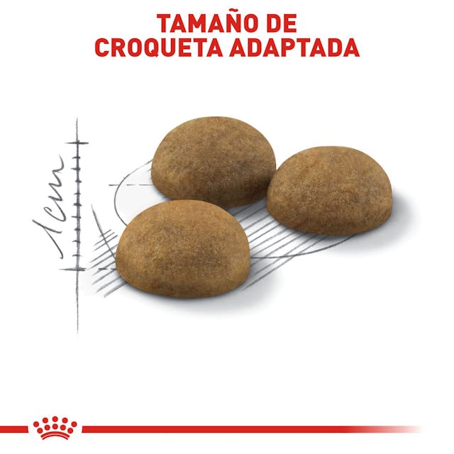 ROYAL CANIN - Cat Indoor Adult 3.18 Kg