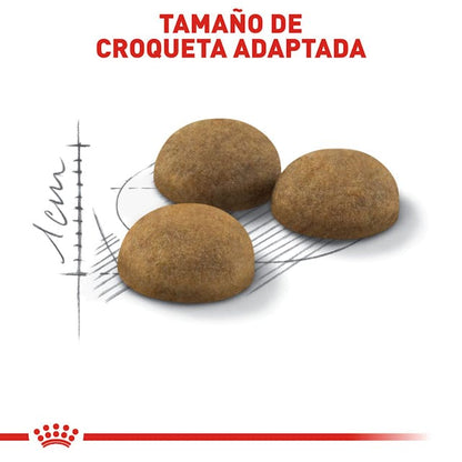ROYAL CANIN - Cat Indoor Adult 3.18 Kg