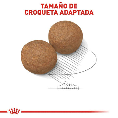 ROYAL CANIN-LARGE BREED ADULTO 13.6 KG