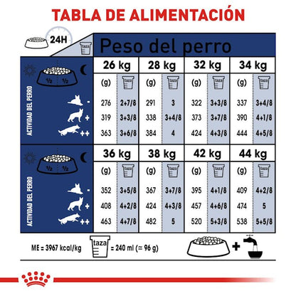 ROYAL CANIN-LARGE BREED ADULTO 13.6 KG