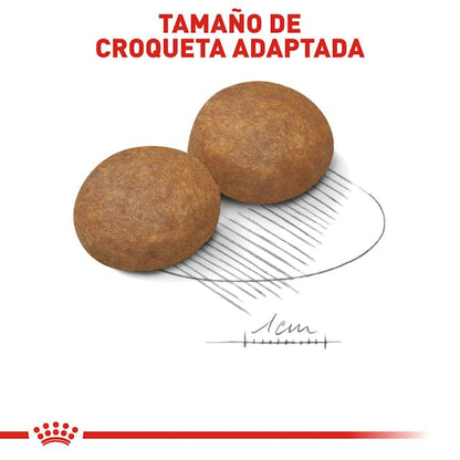 ROYAL CANIN-MEDIUM BREED ADULT 13 KG