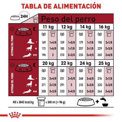 ROYAL CANIN-MEDIUM BREED ADULT 13 KG
