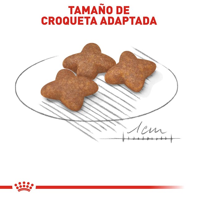 ROYAL CANIN-SMALL BREED ADULTO 13 KG