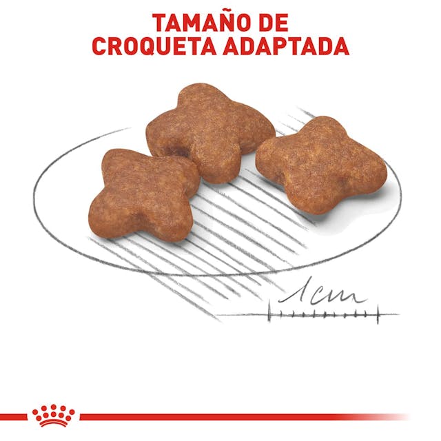 ROYAL CANIN-MATURE +8 1.1 KG